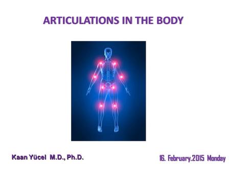 ARTICULATIONS IN THE BODYARTICULATIONS IN THE BODY Kaan Yücel M.D., Ph.D. 16. February.2015 Monday.