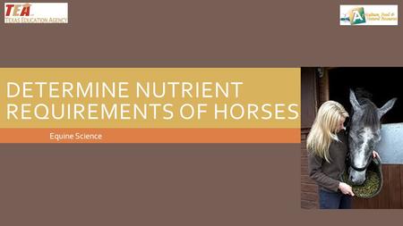 DETERMINE NUTRIENT REQUIREMENTS OF HORSES Equine Science.