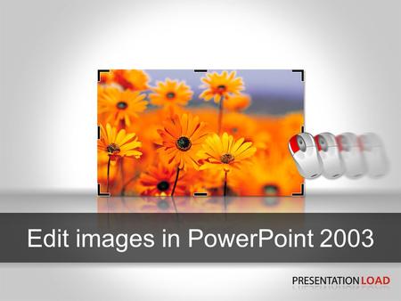 Edit images in PowerPoint 2003. Show graphics-menu 2 1 3 1 2 3 PowerPoint 2003 To edit your images in your presentation you require the graphics menu.