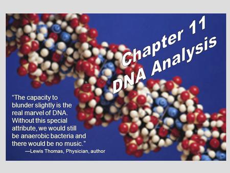 “The capacity to blunder slightly is the real marvel of DNA. Without this special attribute, we would still be anaerobic bacteria and there would be no.