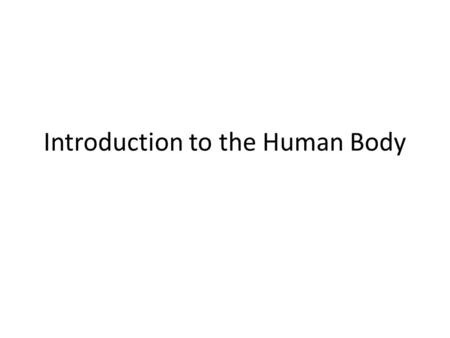 Introduction to the Human Body