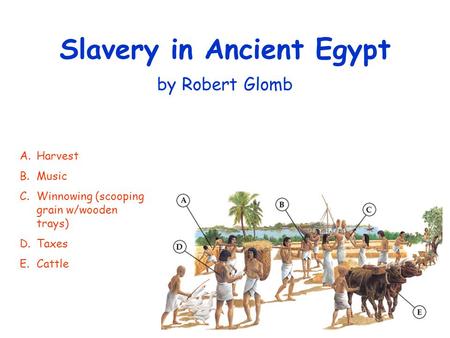 Slavery in Ancient Egypt by Robert Glomb A.Harvest B.Music C.Winnowing (scooping grain w/wooden trays) D.Taxes E.Cattle.