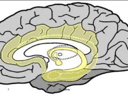 Dr. Vohra1. 2 Emotional Nervous System 3 The main object of primitive life are FOOD & SEX. Food is necessary for survival of individual & sex for the.