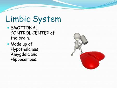 Limbic System EMOTIONAL CONTROL CENTER of the brain. Made up of Hypothalamus, Amygdala and Hippocampus.