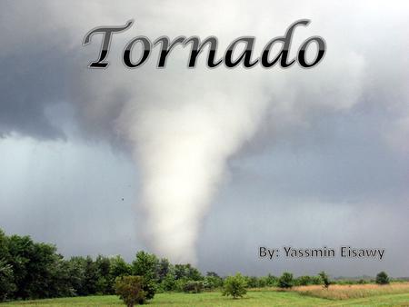 Table of content I ntroduction Page 1 WHAT IS TORNADO ? Page 2 WHAT CAUSES TORNADOES ? Page 3 Which state are most likely to have a tornado ? Page 4 How.