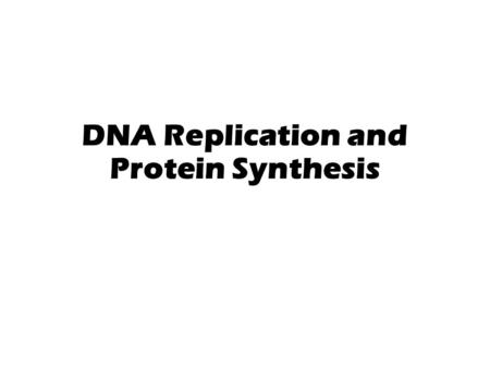 DNA Replication and Protein Synthesis