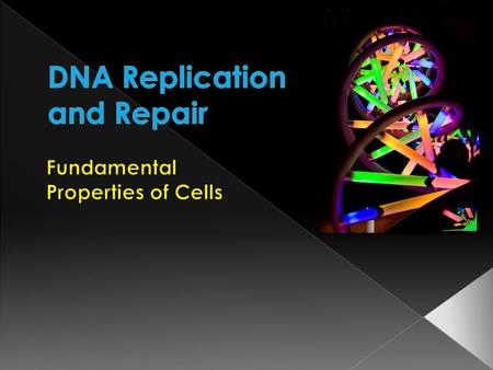  All cells undergo DNA replication and cell division in order to give rise to a new generation of cells Mitosis- Division of the nucleus of a eukaryotic.