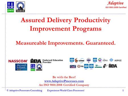 Quality Consulting © Adaptive Processes ConsultingExperience World Class Processes!1 Assured Delivery Productivity Improvement Programs Measureable Improvements.