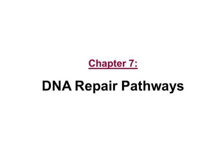 Chapter 7: DNA Repair Pathways.