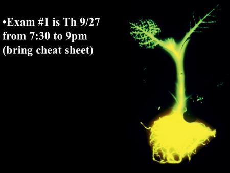 Exam #1 is Th 9/27 from 7:30 to 9pm (bring cheat sheet)