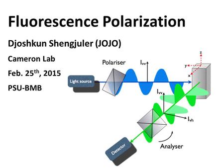 Fluorescence Polarization