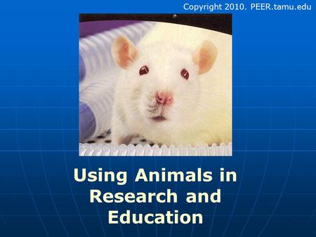 Using Animals in Research and Education Copyright 2010. PEER.tamu.edu.