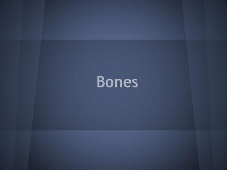 Bones. Mechanical Functions of Bones: Protection: At numerous places inside the body bones serve to protect important and delicate organs. o Ex. Brain.