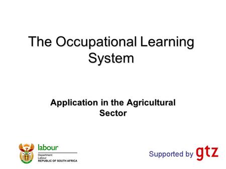 The Occupational Learning System