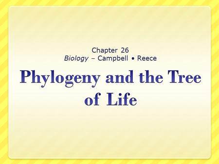 Phylogeny and the Tree of Life