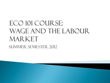 Summer Semester 2012.  Wage is income of a labour. It is also know as salary.  There is two concepts of wage: money wage and real wage. Money wage is.