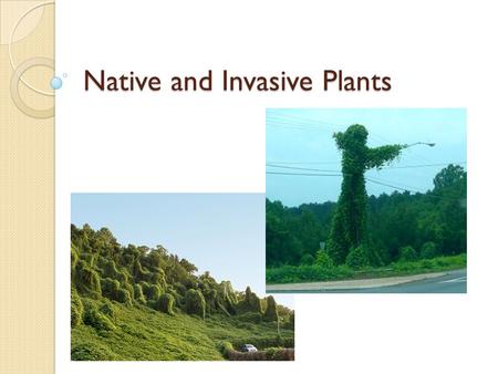 Native and Invasive Plants. Invasive plant Ability to spread aggressively outside its natural range Especially in new habitat.