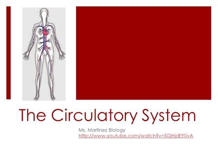 The Circulatory System Ms. Martinez Biology