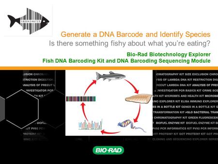 Bio-Rad Biotechnology Explorer