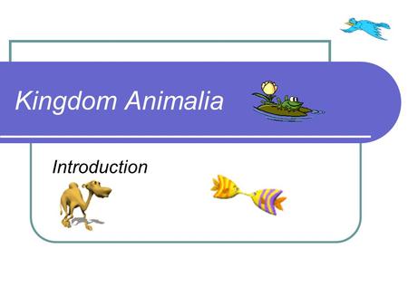 Kingdom Animalia Introduction.