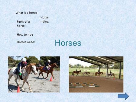 Horses What is a horse Parts of a horse How to ride Horses needs Horse riding.