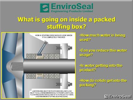 What is going on inside a packed stuffing box?