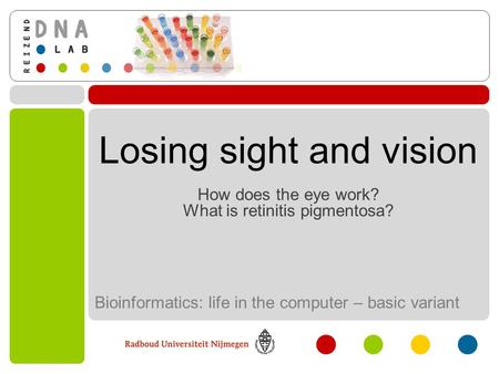 Losing sight and vision How does the eye work? What is retinitis pigmentosa? Bioinformatics: life in the computer – basic variant.