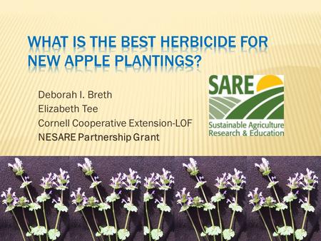 Deborah I. Breth Elizabeth Tee Cornell Cooperative Extension-LOF NESARE Partnership Grant.