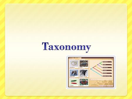 Taxonomy.