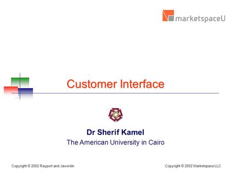 Copyright © 2002 Marketspace LLC Copyright © 2002 Rayport and Jaworski Customer Interface Dr Sherif Kamel The American University in Cairo.