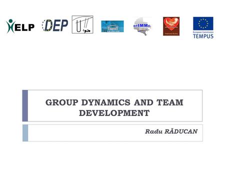 GROUP DYNAMICS AND TEAM DEVELOPMENT Radu RĂDUCAN.