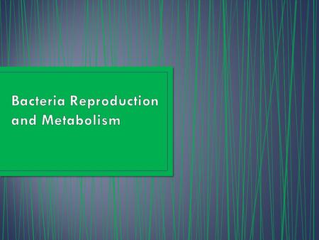 Under ideal stable conditions, bacteria can multiply at alarming rates… 20-30 min. Bacteria can grow and divide every 20-30 min. 1,000,000,000 Within.