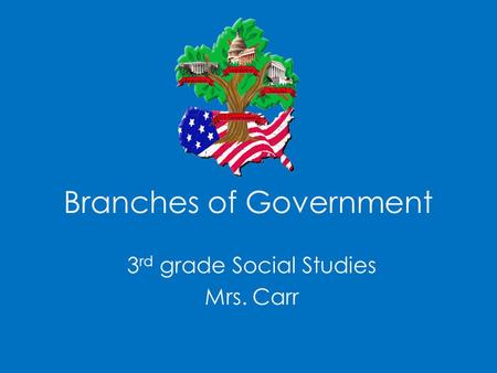 Branches of Government