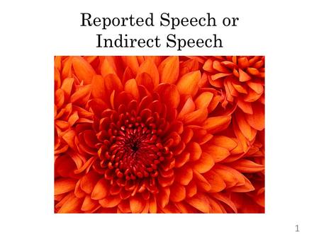 Reported Speech or Indirect Speech