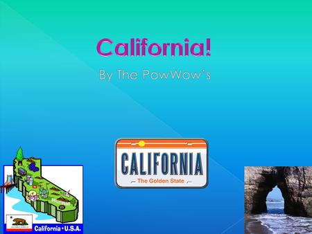  State Abbreviation- CA  State Capitol- Sacramento  Land- 163,707 square miles  Population 33,871,648  Name for residents- Californians  Highest.