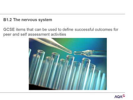 B1.2 The nervous system GCSE items that can be used to define successful outcomes for peer and self assessment activities.