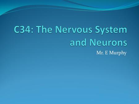 Mr. E Murphy. Strange fact A newborn baby's brain grows almost 3 times during the course of its first year.