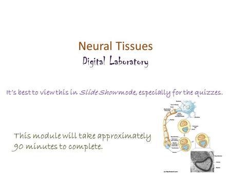 Neural Tissues Digital Laboratory