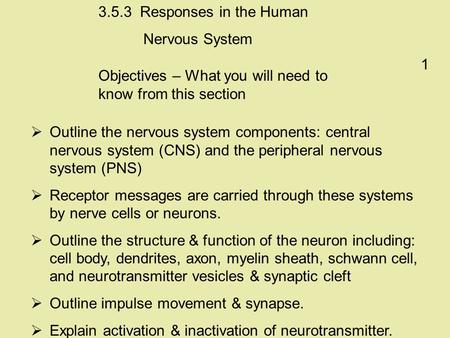 Responses in the Human Nervous System 1