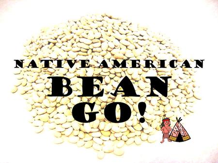 NATIVE AMERICAN BEAN GO!.