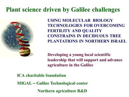 USING MOLECULAR BIOLOGY TECHNOLOGIES FOR OVERCOMING FERTILITY AND QUALITY CONSTRAINS IN DECIDUOUS TREE PLANTATIONS IN NORTHERN ISRAEL Developing a young.