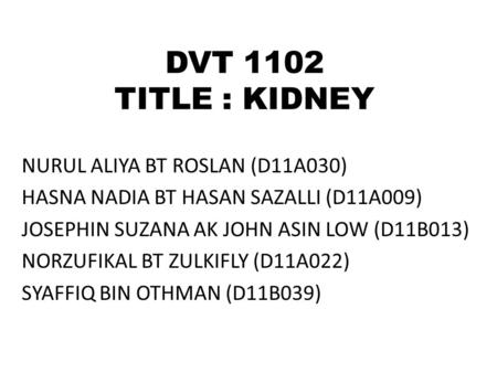 DVT 1102 TITLE : KIDNEY NURUL ALIYA BT ROSLAN (D11A030)