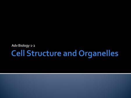 Adv Biology 1-2.  There are two types of cells.  Prokaryote-cell lacking a nucleus and organelles. ▪ DNA is free floating. ▪ Reactions occur throughout.