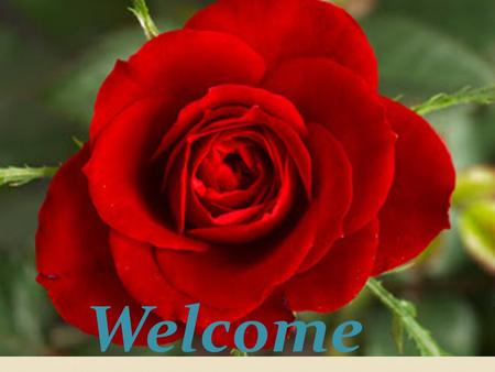 Welcome. Teacher’s Identity Name: Md.Bul bul Husain Post: Assistant Teacher (English) School’s Name: Chantara Gano High School Upazilla: Ghatail Dist.: