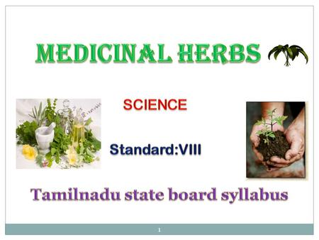 Tamilnadu state board syllabus