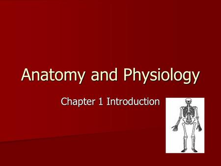 Anatomy and Physiology