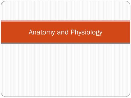 Anatomy and Physiology