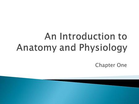 Chapter One. A&P in Perspective  So what is Biology? ◦ Biology is defined as the “study of life” ◦ All living things exhibit the same basic functions.