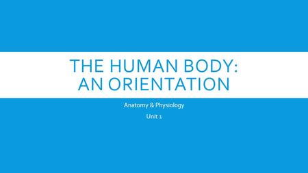 The Human Body: An Orientation