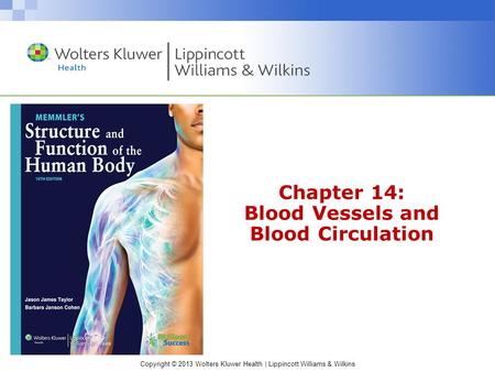 Chapter 14: Blood Vessels and Blood Circulation